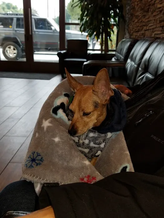 Park Community Animal Hospital 12