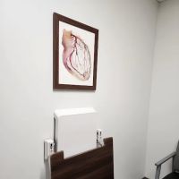 Olympic Veterinary Cardiology, PLLC ico
