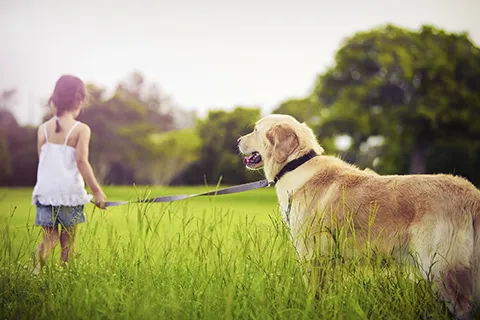 Puget Park Veterinary Clinic 12