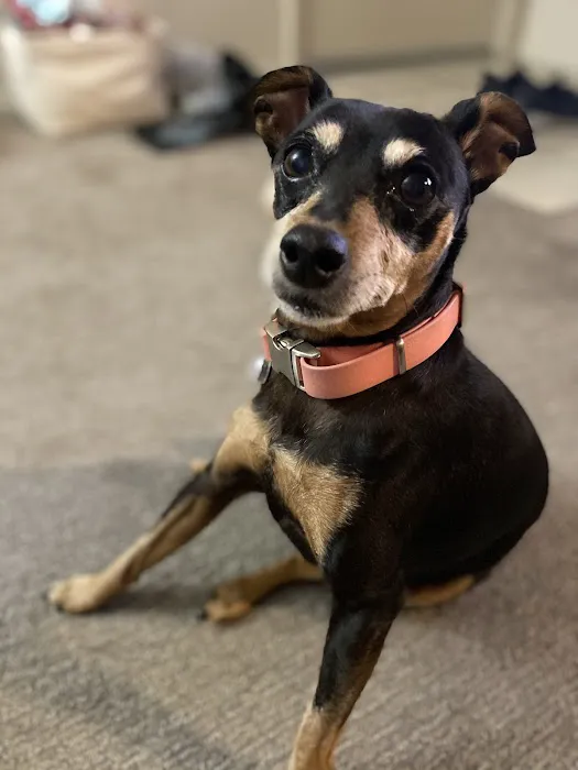 Puget Park Veterinary Clinic 12