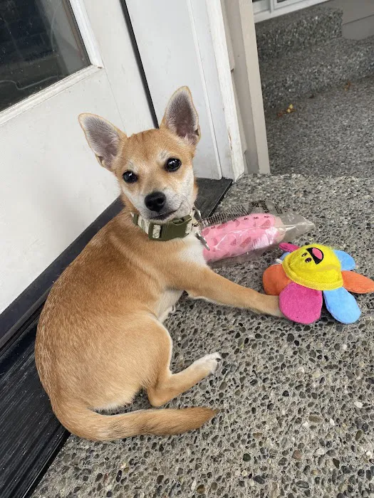 Puget Park Veterinary Clinic 12