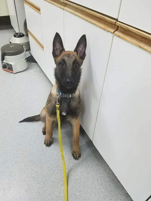 Companion Vet Clinic 12