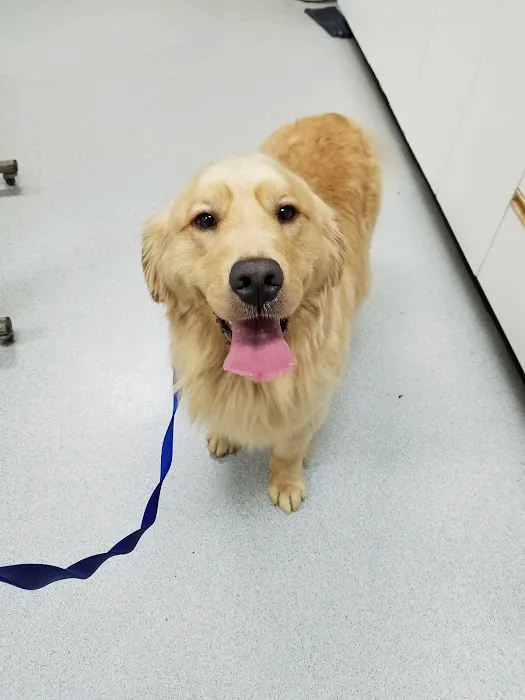 Companion Vet Clinic 12