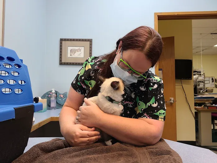 Companion Vet Clinic 12