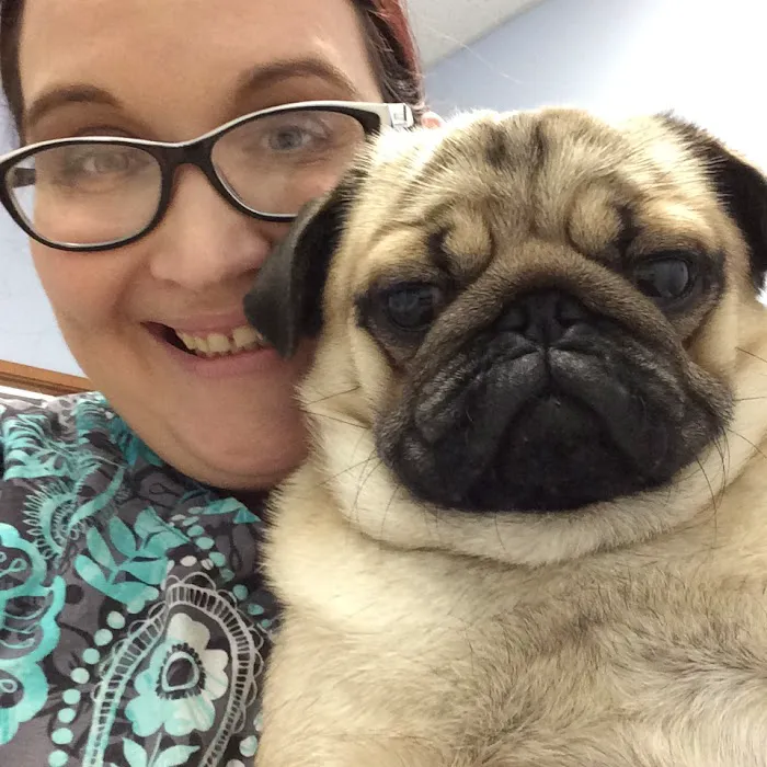 Companion Vet Clinic 12