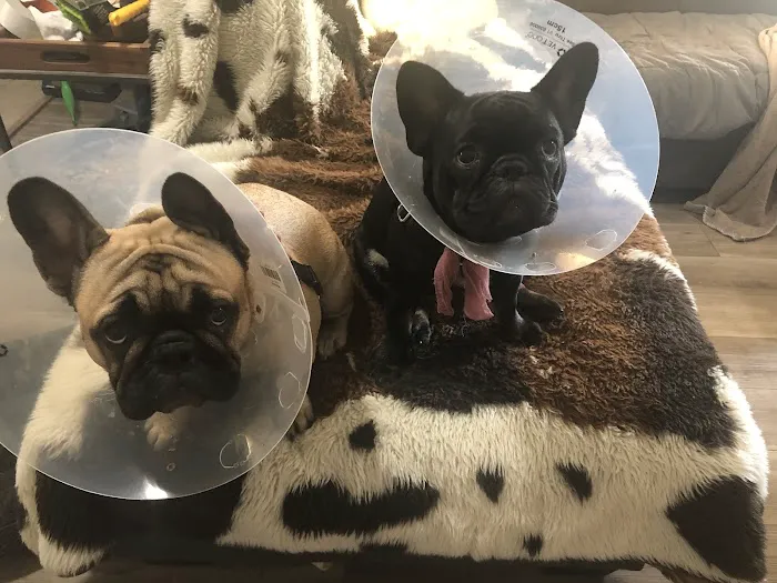 Northwest Animal Care Hospital 12
