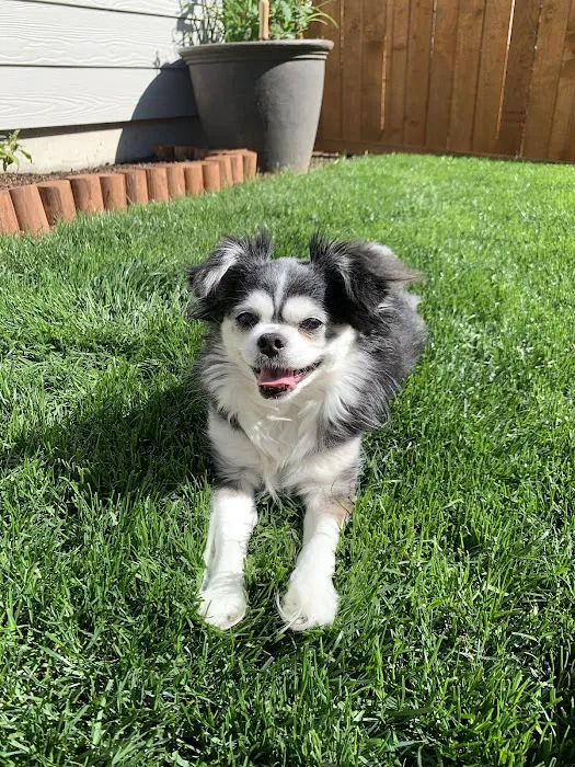 Northwest Animal Care Hospital 12