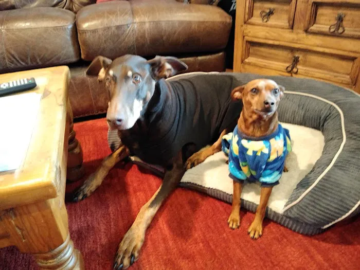 Clearview Animal Hospital 12