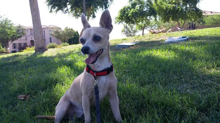 Banfield Pet Hospital 12