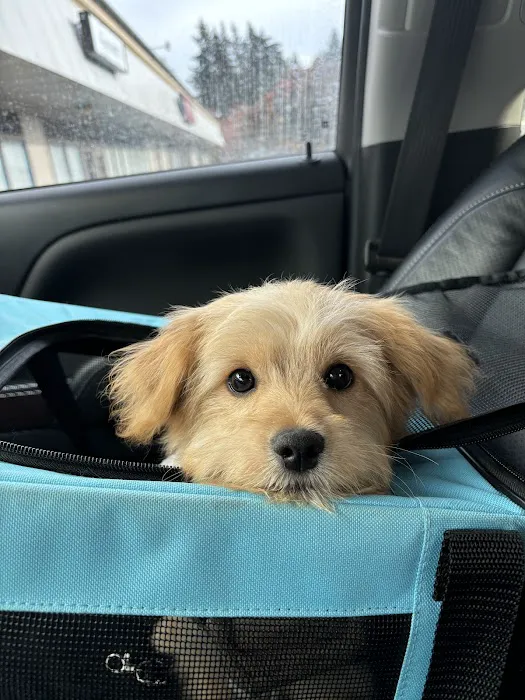 Vetco Vaccination Clinic 12