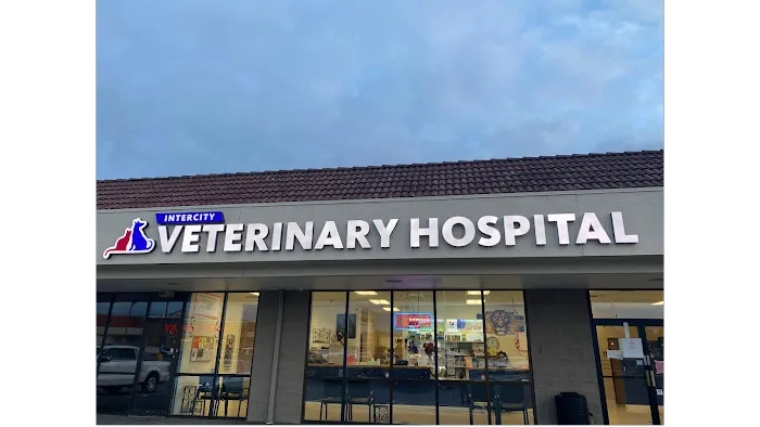 Intercity Veterinary Hospital 12