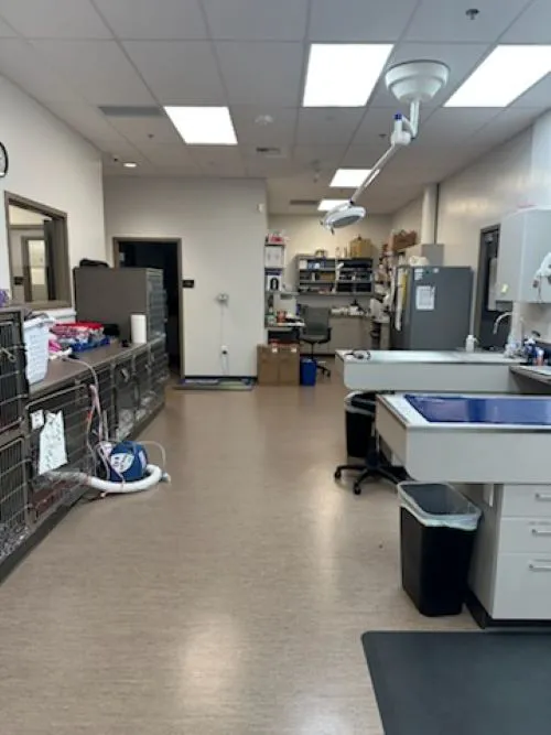 Mukilteo Veterinary Hospital 12