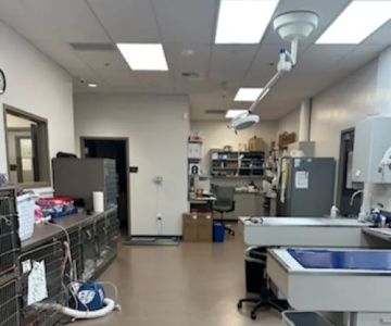 Mukilteo Veterinary Hospital