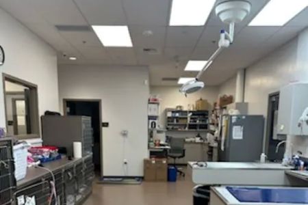 Mukilteo Veterinary Hospital