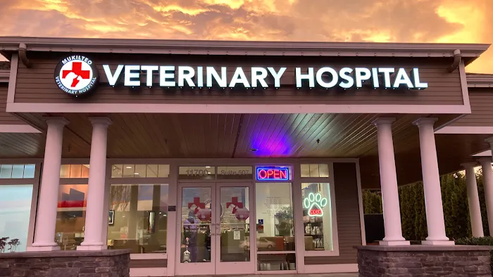 Mukilteo Veterinary Hospital 12