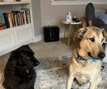 VCA Redmond Animal Hospital