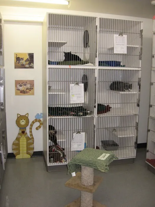 VCA Redmond Animal Hospital 12