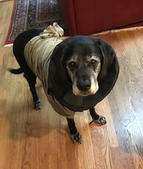 Duvall Veterinary Hospital 12