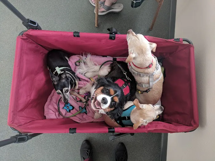 Cherry Valley Veterinary Hospital 12