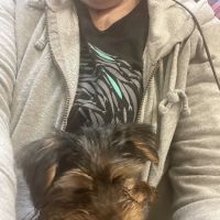 Cherry Valley Veterinary Hospital ico