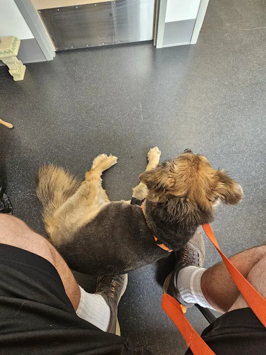 Cherry Valley Veterinary Hospital 12