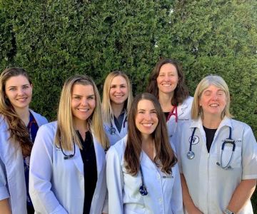 Loyal Family Veterinary Hospital