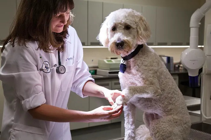 Loyal Family Veterinary Hospital 12