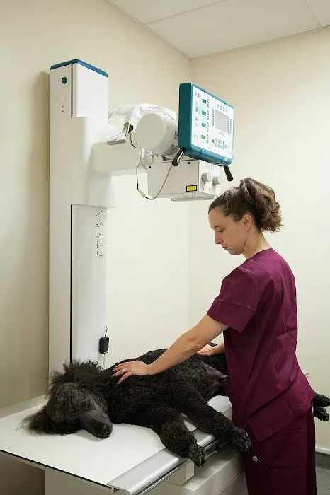 Loyal Family Veterinary Hospital 12