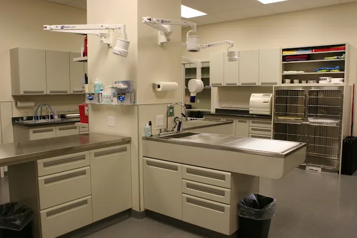Loyal Family Veterinary Hospital 12