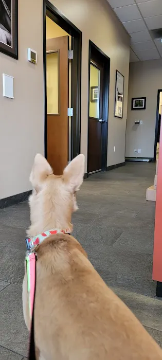 Loyal Family Veterinary Hospital 12