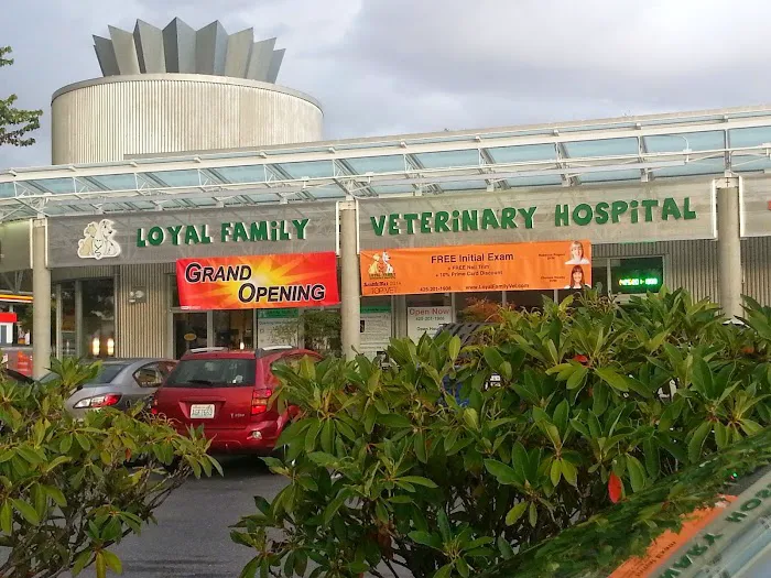 Loyal Family Veterinary Hospital 12