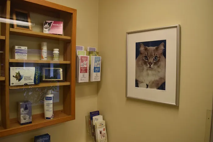 Cat & Dog Clinic of Bellevue 12