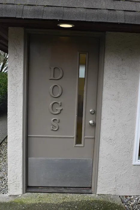 Cat & Dog Clinic of Bellevue 12