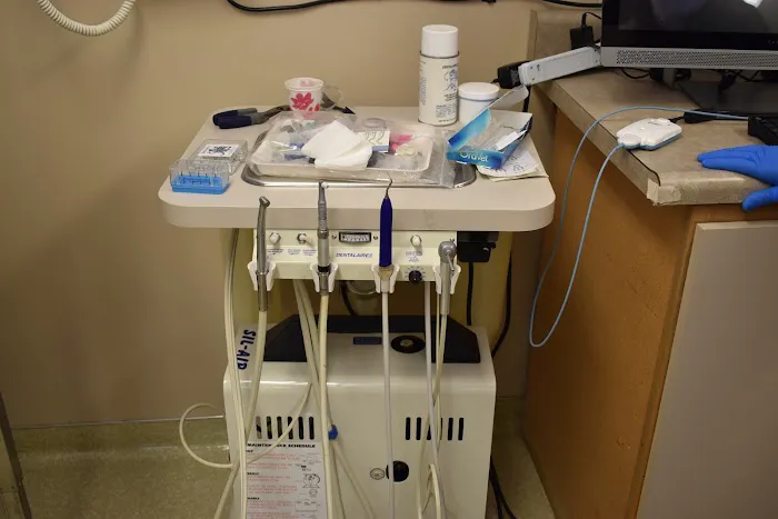 Cat & Dog Clinic of Bellevue 12