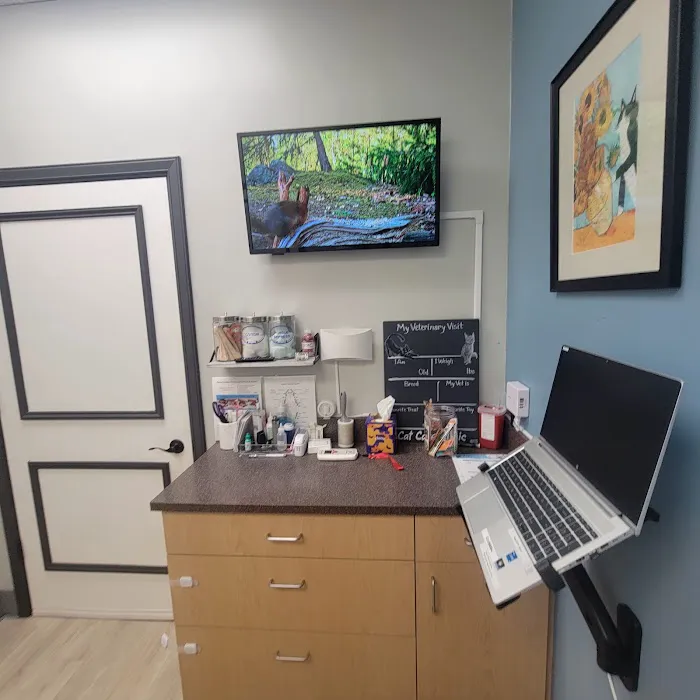 Cat Care Clinic 12