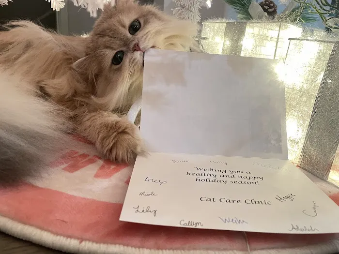 Cat Care Clinic 12