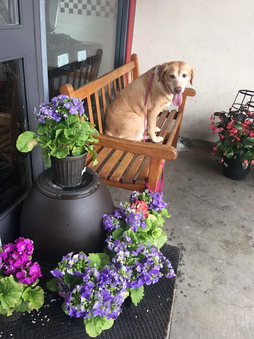VCA Bellevue Veterinary Hospital 12
