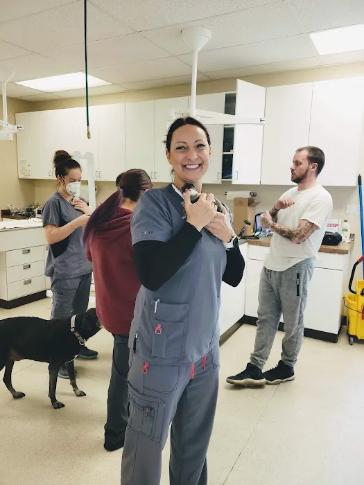 Pet Care Clinic of Bellevue 12