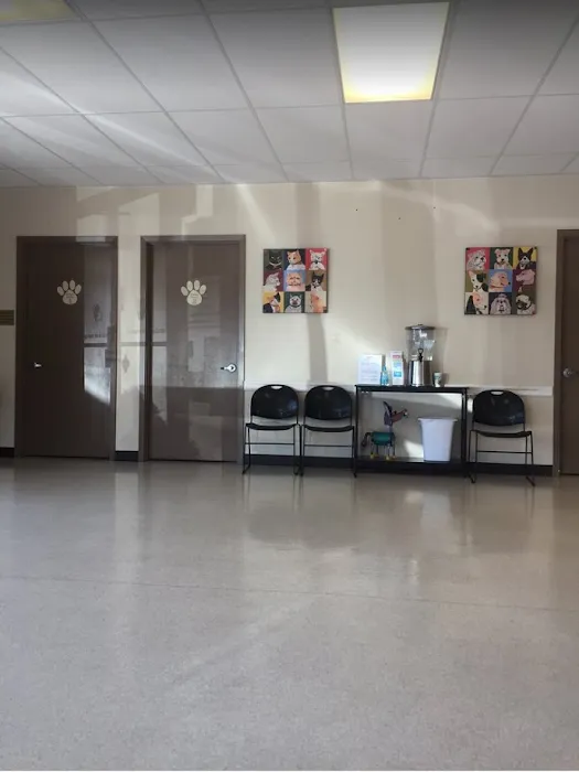 Pet Care Clinic of Bellevue 12