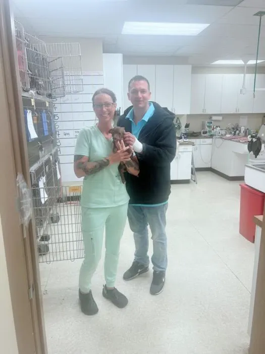 Pet Care Clinic of Bellevue 12