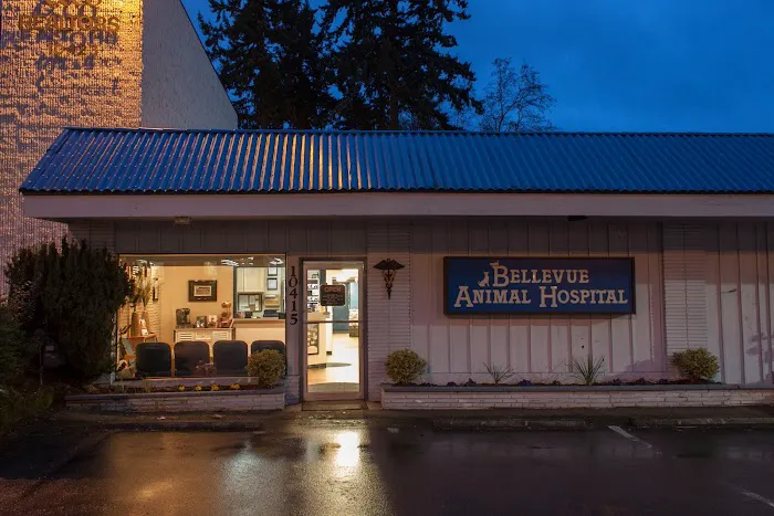 Bellevue Animal Hospital 12