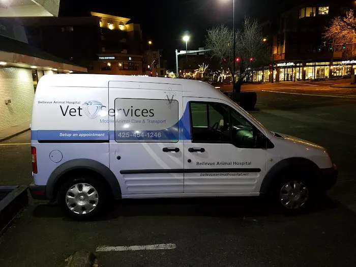 Bellevue Animal Hospital 12