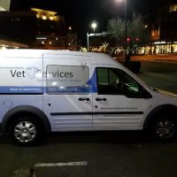 Bellevue Animal Hospital ico