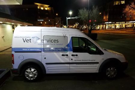 Bellevue Animal Hospital