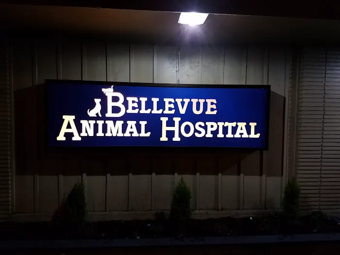 Bellevue Animal Hospital 12