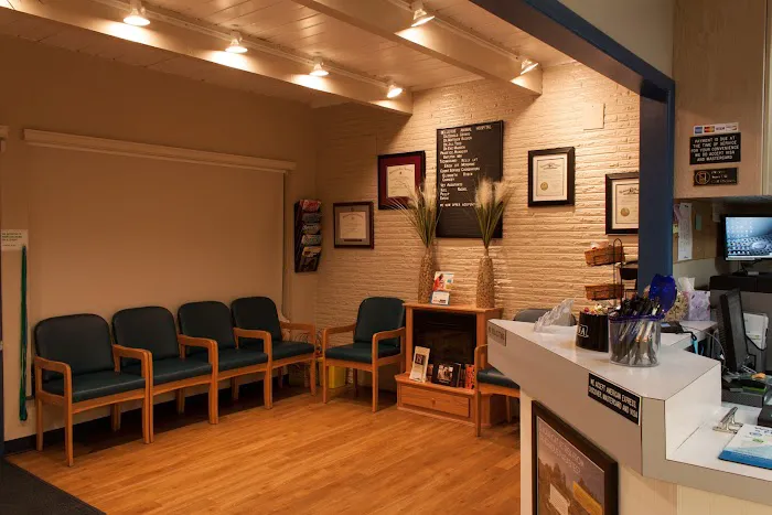 Bellevue Animal Hospital 12