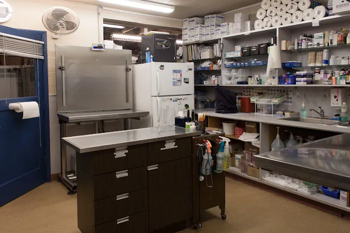 Bellevue Animal Hospital 12