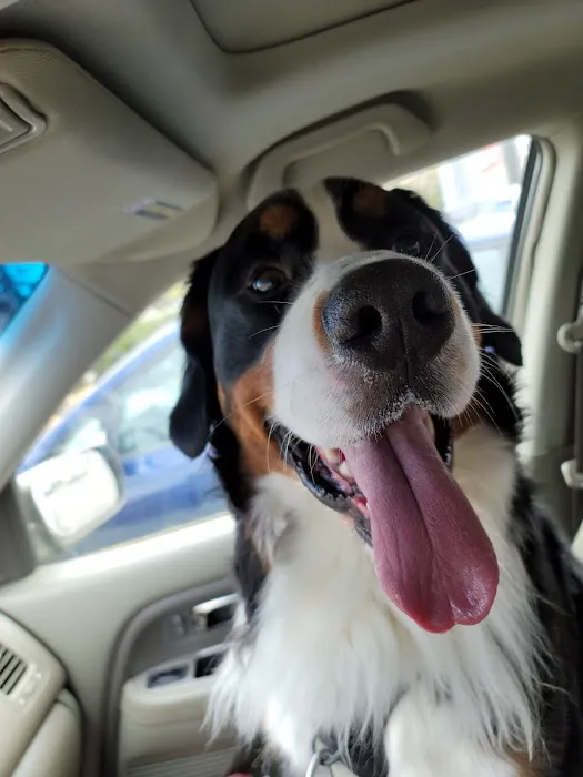 Banfield Pet Hospital 8