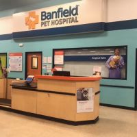 Banfield Pet Hospital ico