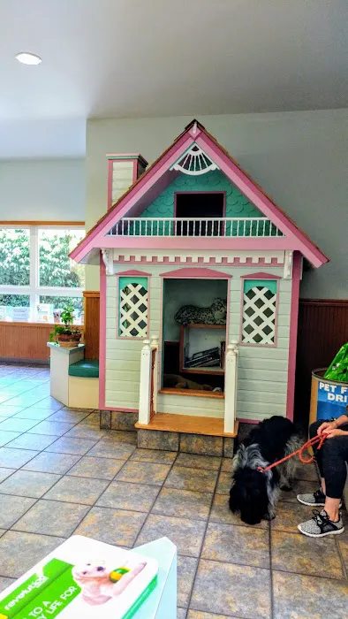 Companion Animal Hospital 12